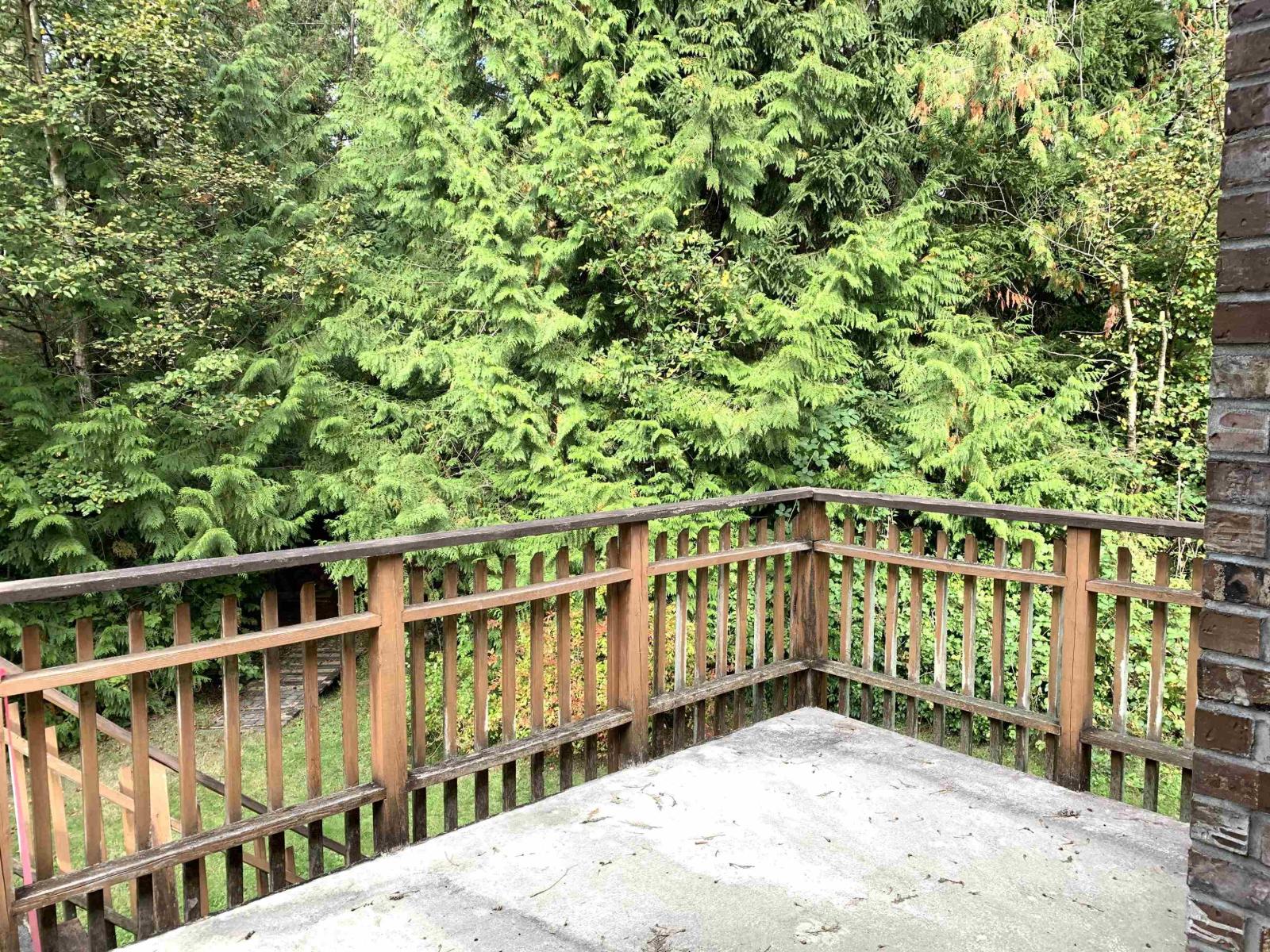 29933 Anderson Avenue, Mission, British Columbia  V4S 1H9 - Photo 30 - R3056256