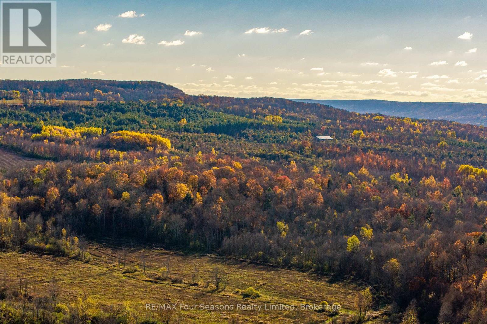 627174 119 Grey Road, Grey Highlands, Ontario  N0H 1J0 - Photo 31 - X12510494