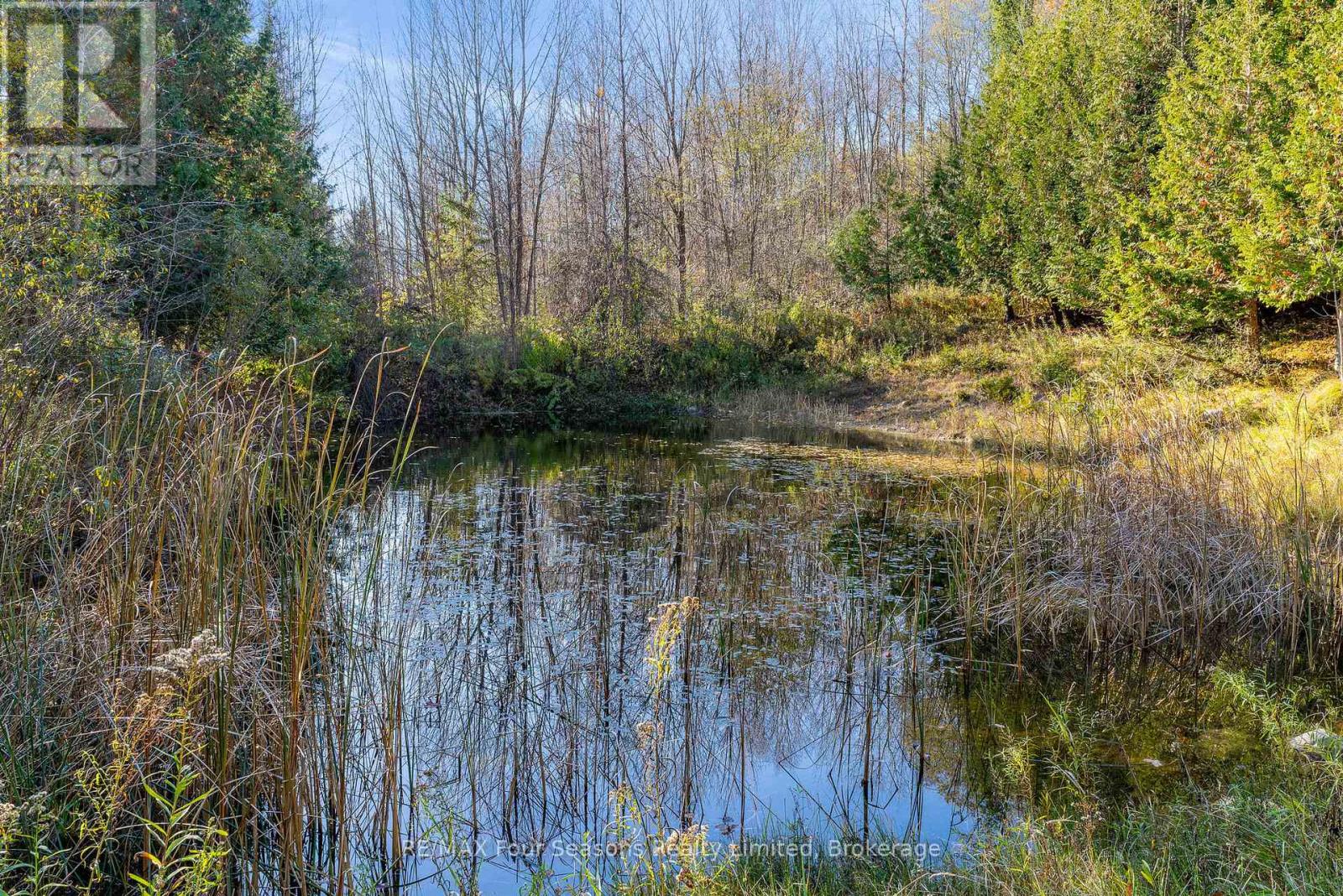 627174 119 Grey Road, Grey Highlands, Ontario  N0H 1J0 - Photo 33 - X12510494