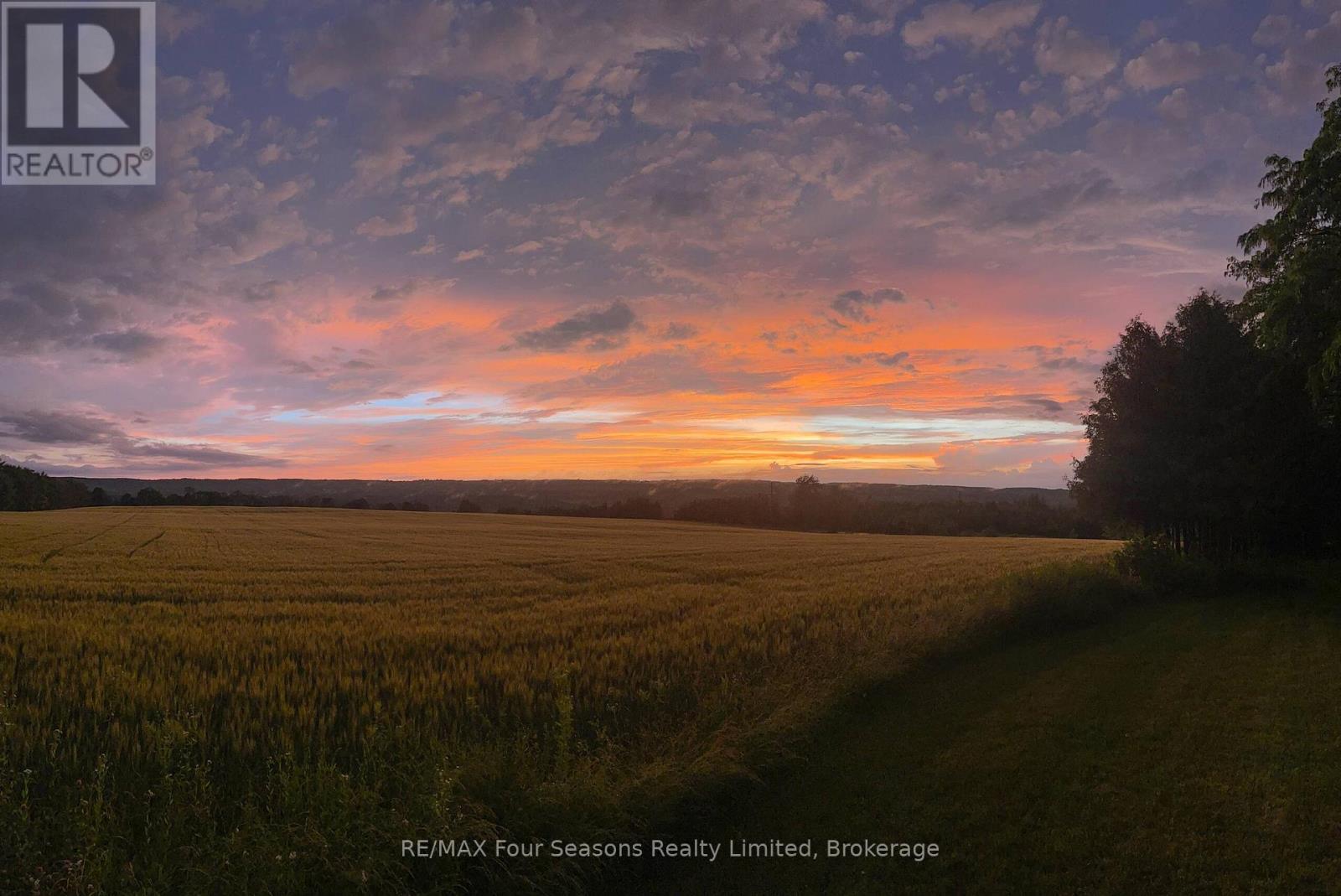 627174 119 Grey Road, Grey Highlands, Ontario  N0H 1J0 - Photo 47 - X12510494