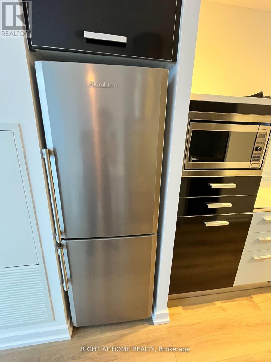 202 - 38 Dan Leckie Way, Toronto, Ontario  M5V 2V6 - Photo 10 - C12510468