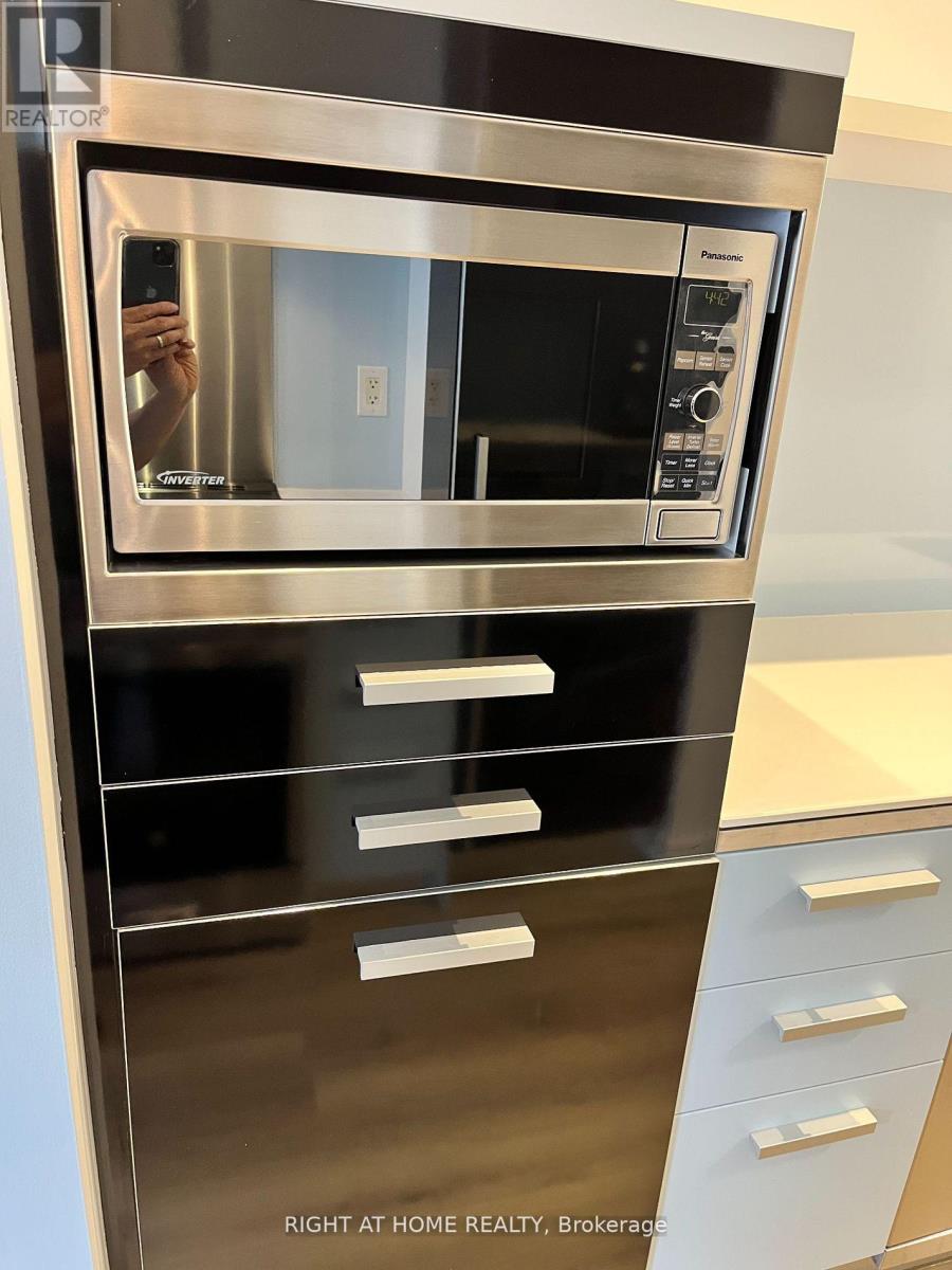 202 - 38 Dan Leckie Way, Toronto, Ontario  M5V 2V6 - Photo 11 - C12510468