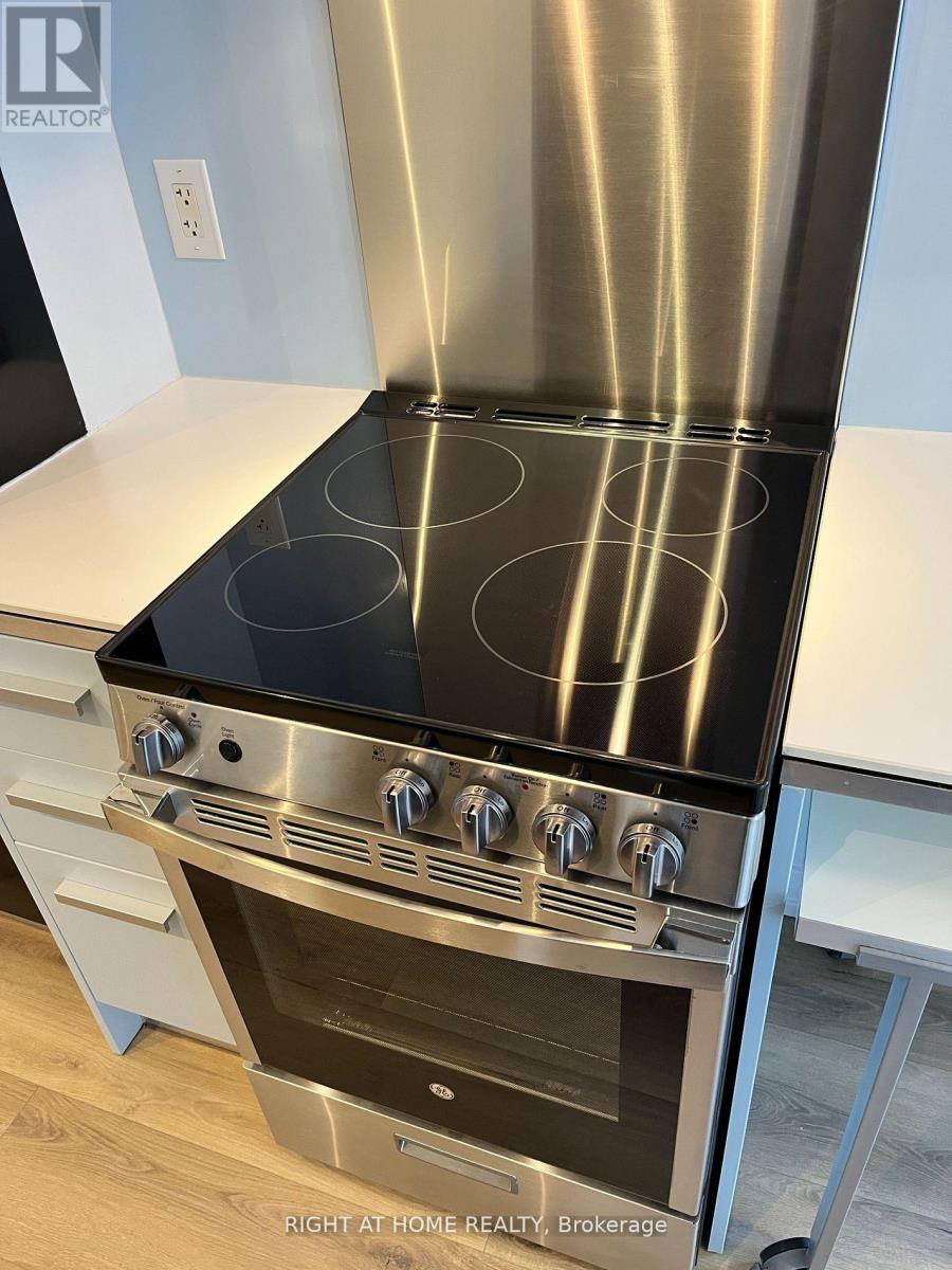 202 - 38 Dan Leckie Way, Toronto, Ontario  M5V 2V6 - Photo 12 - C12510468