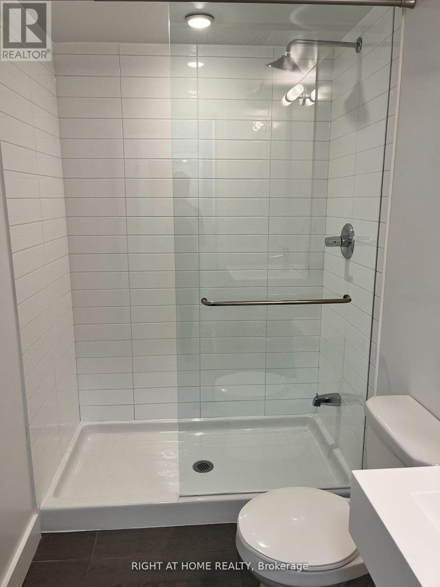 202 - 38 Dan Leckie Way, Toronto, Ontario  M5V 2V6 - Photo 15 - C12510468