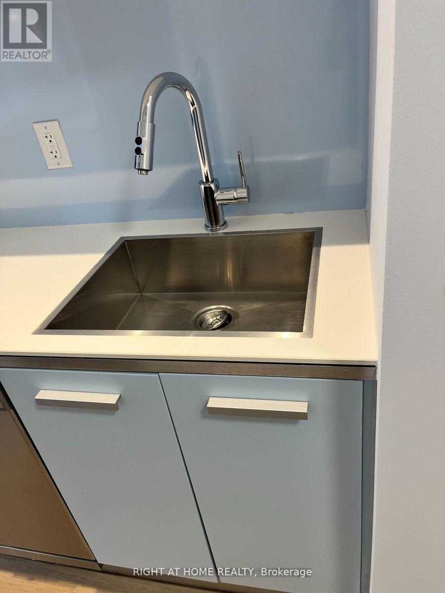 202 - 38 Dan Leckie Way, Toronto, Ontario  M5V 2V6 - Photo 8 - C12510468