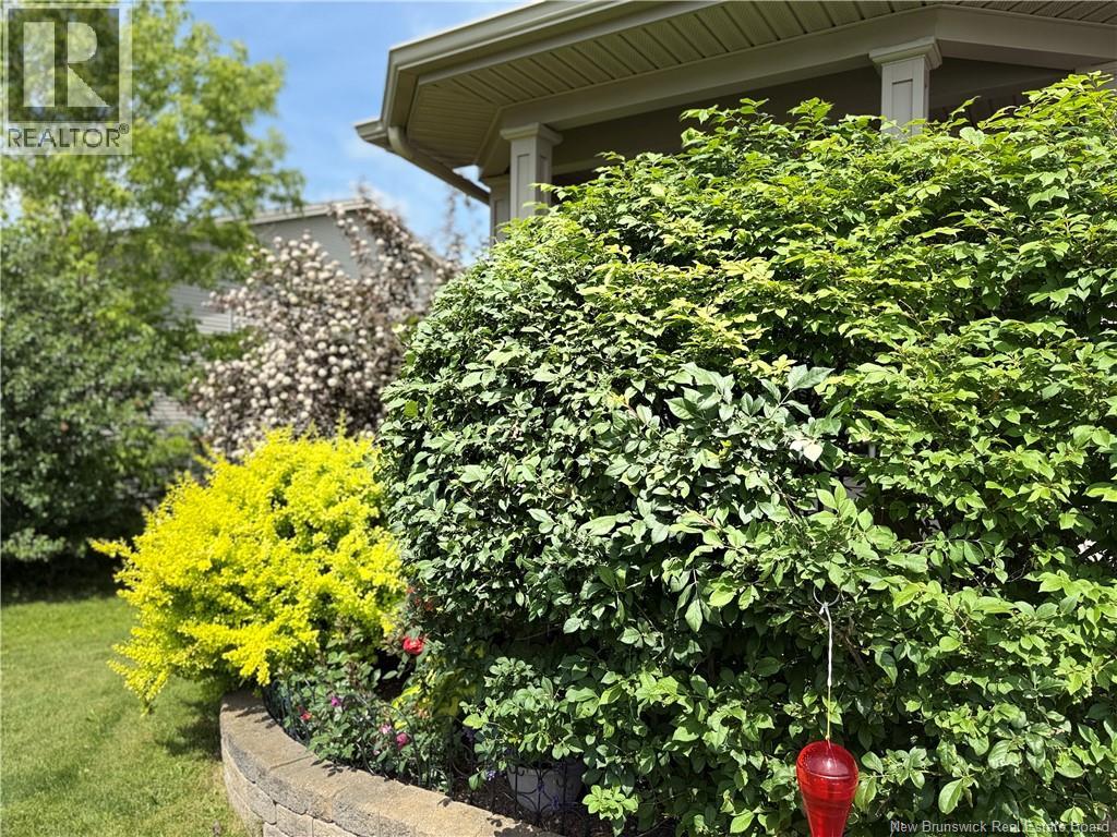 47 Newberry Street, Moncton, New Brunswick  E1G 5M5 - Photo 31 - NB129659