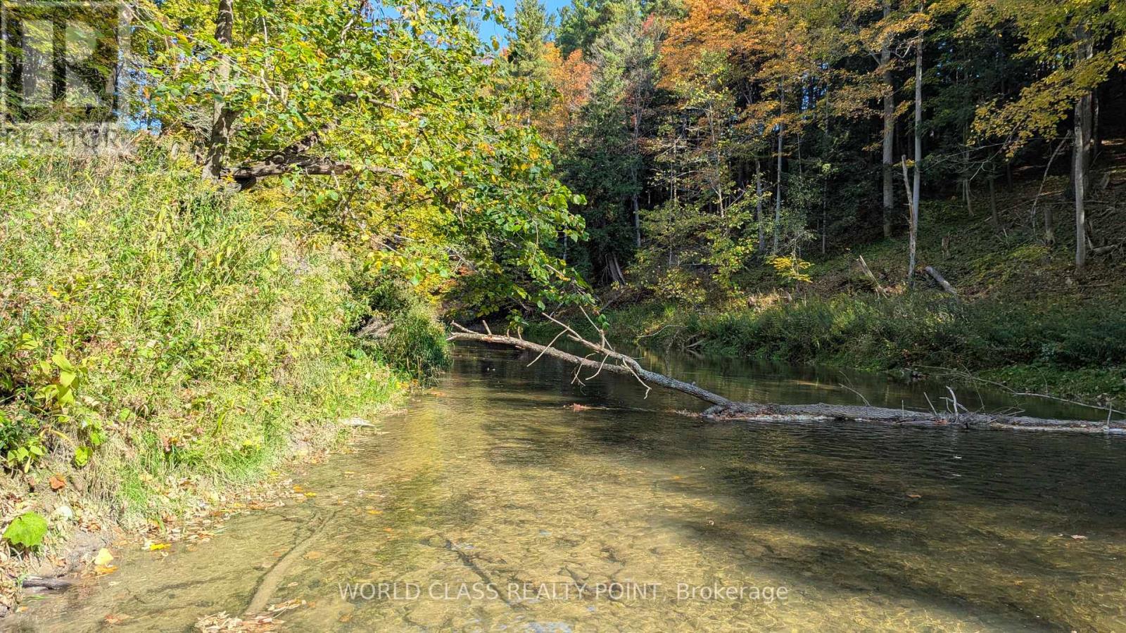 60 Kleins Ridge Road, Vaughan, Ontario  L0J 1C0 - Photo 2 - N12510534