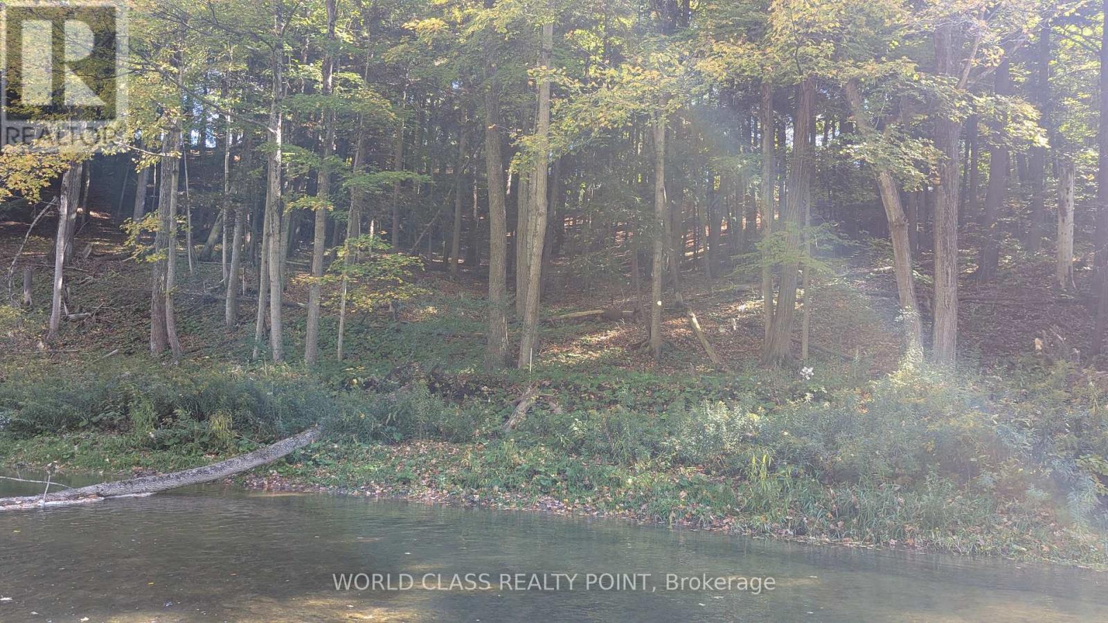 60 Kleins Ridge Road, Vaughan, Ontario  L0J 1C0 - Photo 3 - N12510534