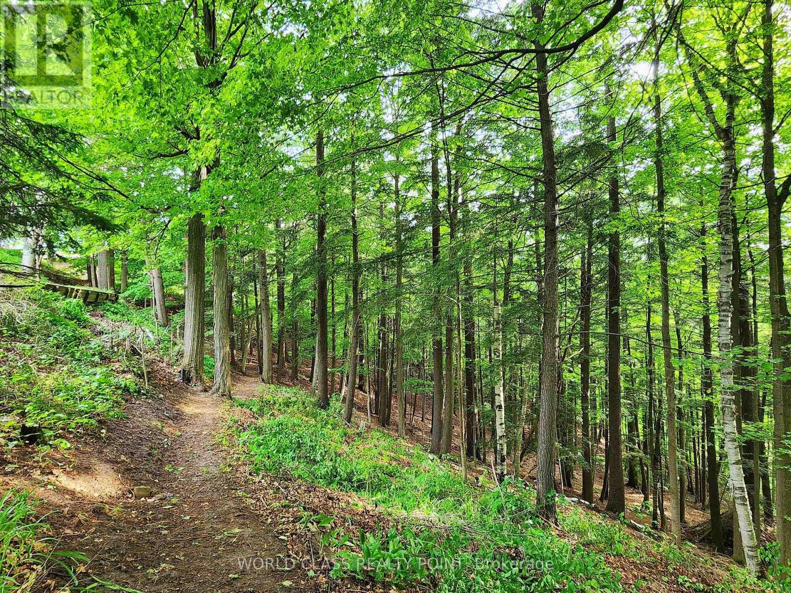 60 Kleins Ridge Road, Vaughan, Ontario  L0J 1C0 - Photo 35 - N12510534