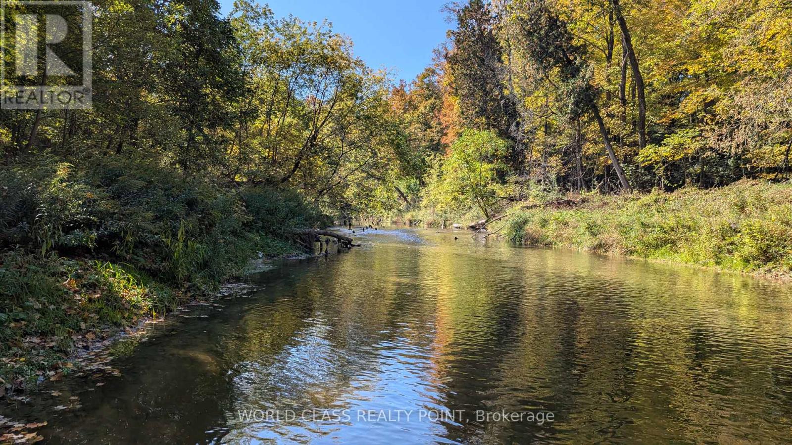 60 Kleins Ridge Road, Vaughan, Ontario  L0J 1C0 - Photo 4 - N12510534
