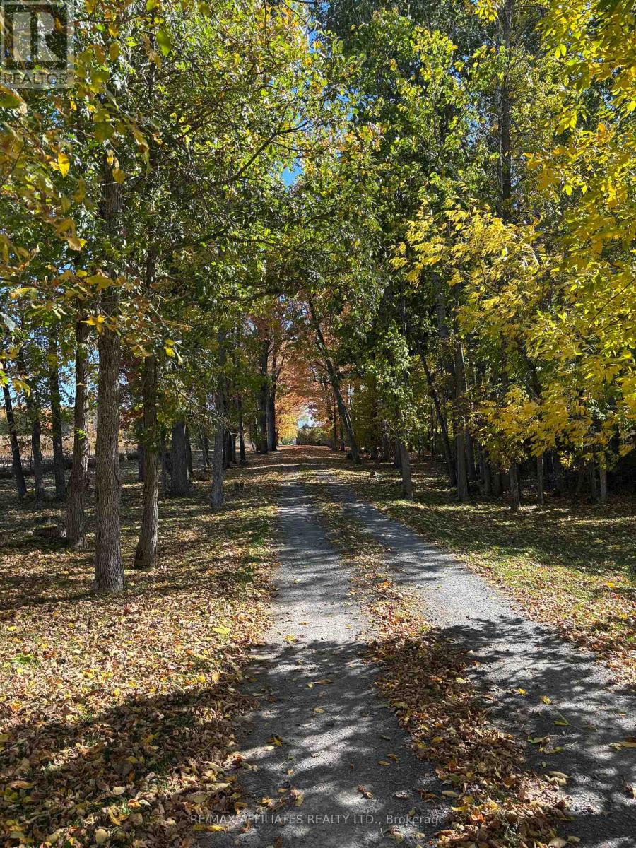 507 Drummond Road, Mississippi Mills, Ontario  K7C 3P1 - Photo 44 - X12510576