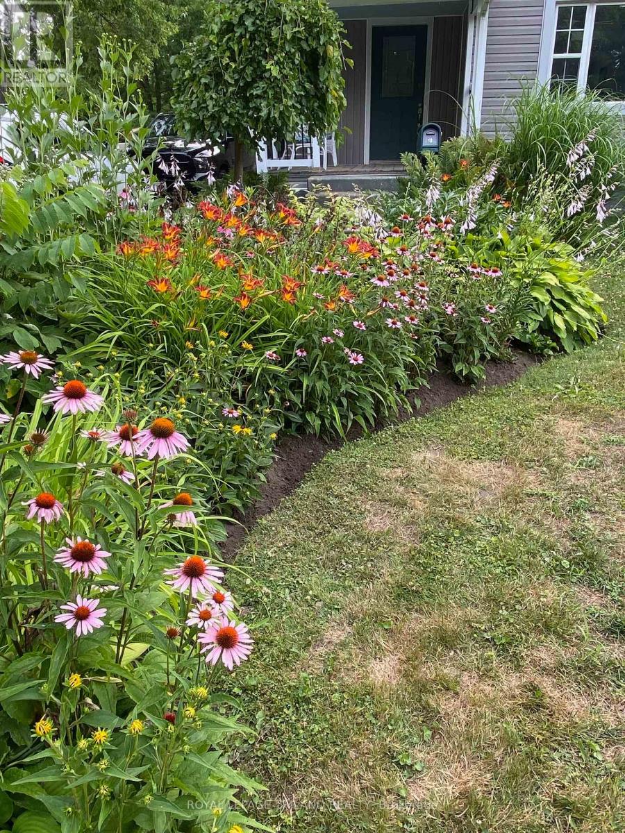 Photo 49 of 49 for 18 Tecumseh Street