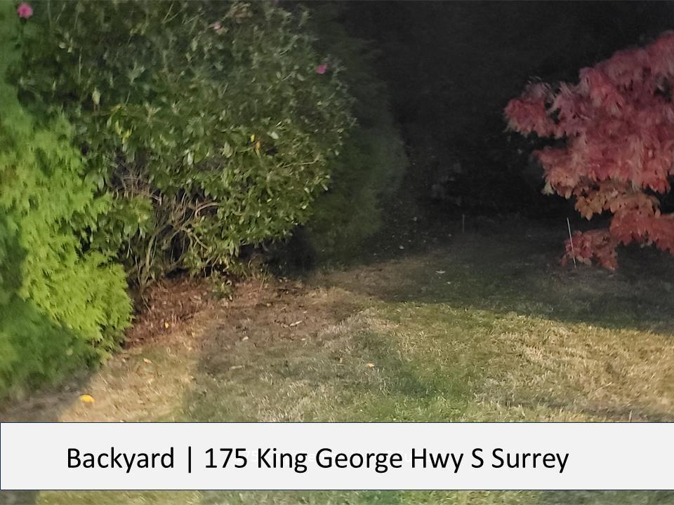 1175 King George Highway, Surrey, British Columbia V4A 4Z1 - Photo 10 - R3064865