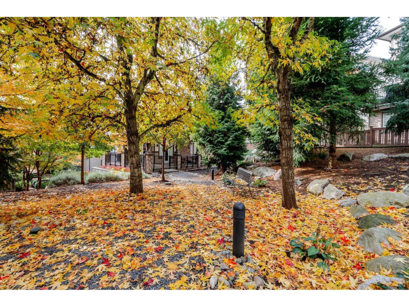 77 19433 68 Avenue, Surrey, British Columbia  V4N 6M8 - Photo 32 - R3063196