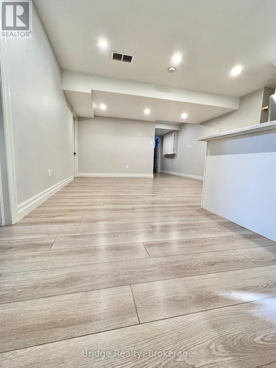 Basement - 169 Hemlock Street, Woodstock, Ontario  N4S 0E4 - Photo 3 - X12510638