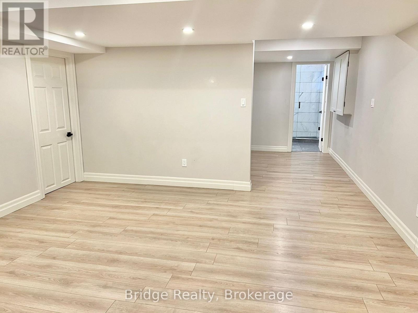 Basement - 169 Hemlock Street, Woodstock, Ontario  N4S 0E4 - Photo 4 - X12510638