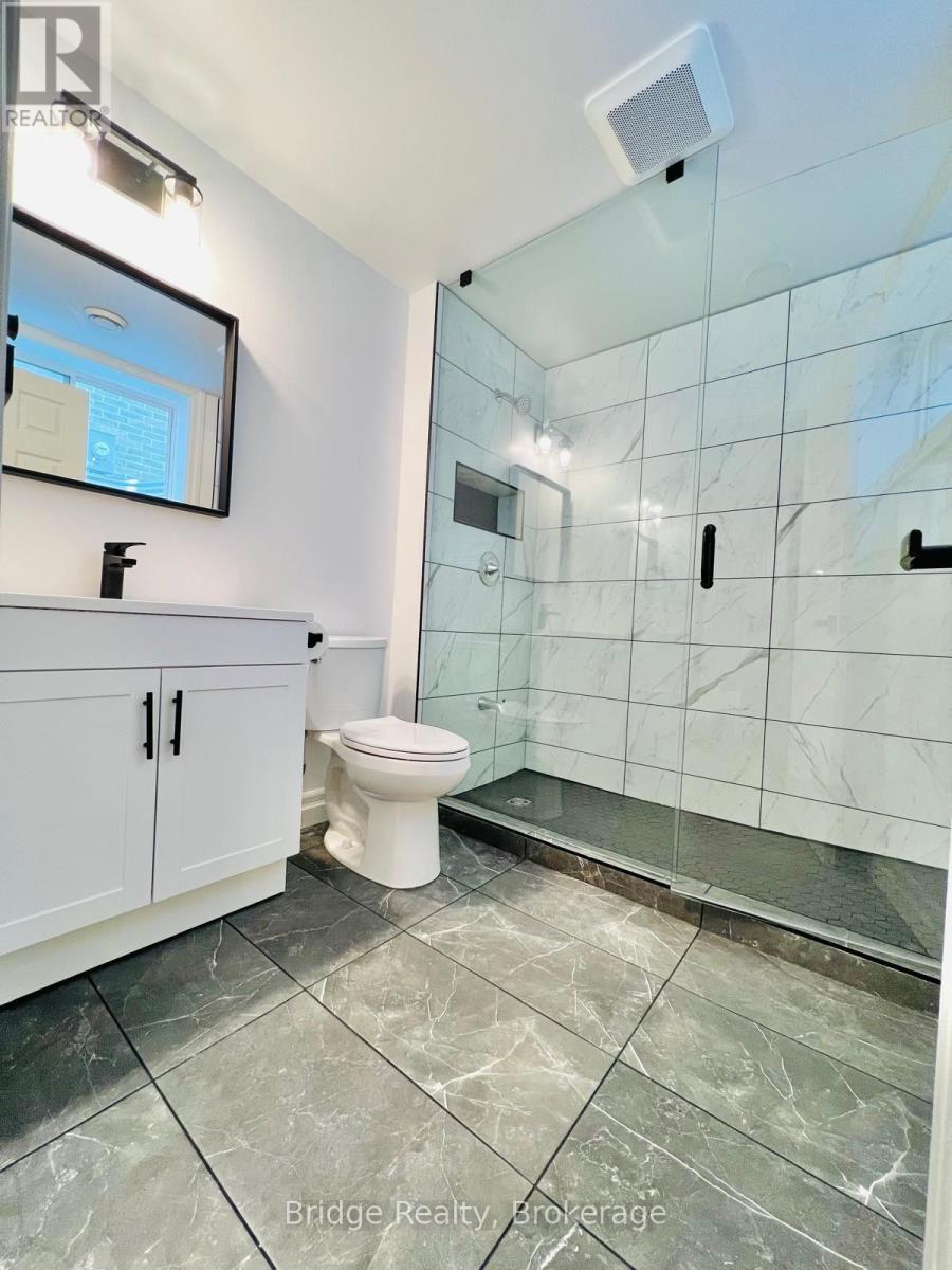 Basement - 169 Hemlock Street, Woodstock, Ontario  N4S 0E4 - Photo 5 - X12510638