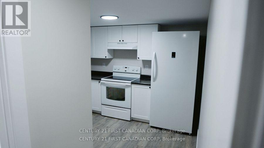 Lower - 1072 Jalna Boulevard, London South, Ontario  N6E 2J5 - Photo 7 - X12510676