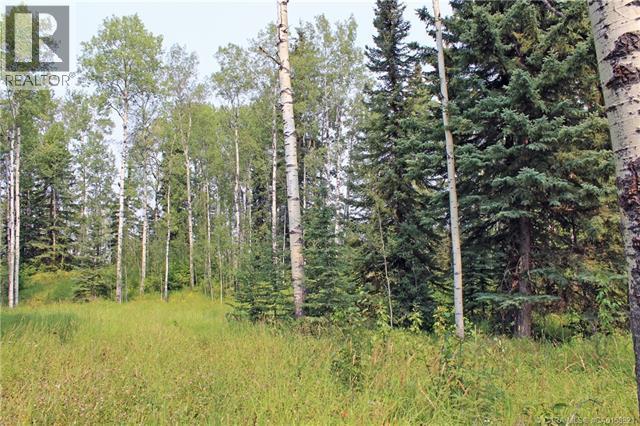 5 Ridgeland Road, Rural Clearwater County, Alberta  T4T 2A4 - Photo 4 - A2265467