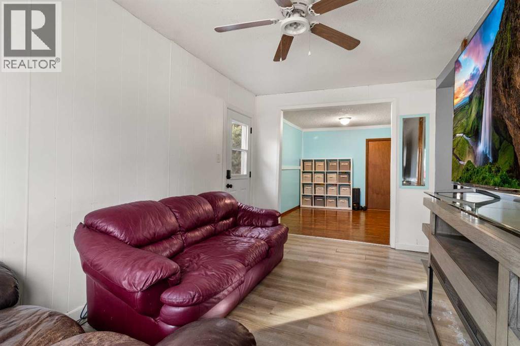 4847 52 Avenue, Eckville, Alberta  T0M 0X0 - Photo 12 - A2268245