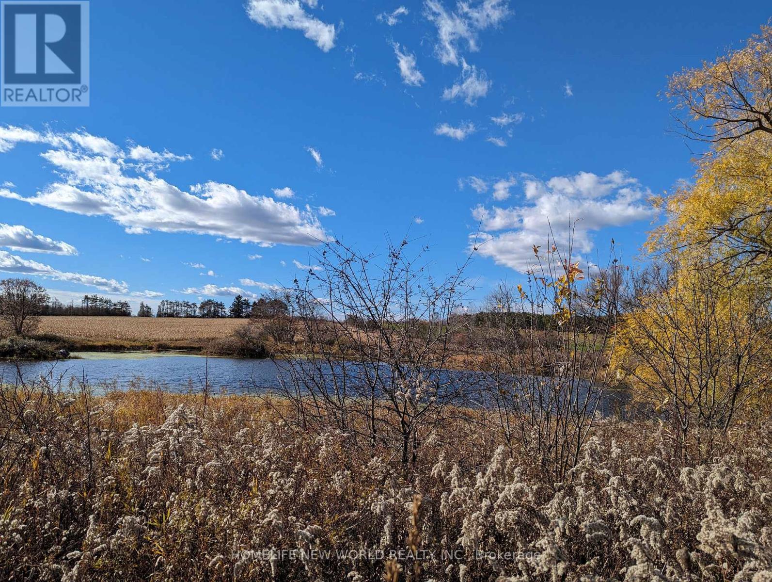 17268 WARDEN AVENUE, Whitchurch-Stouffville, Ontario