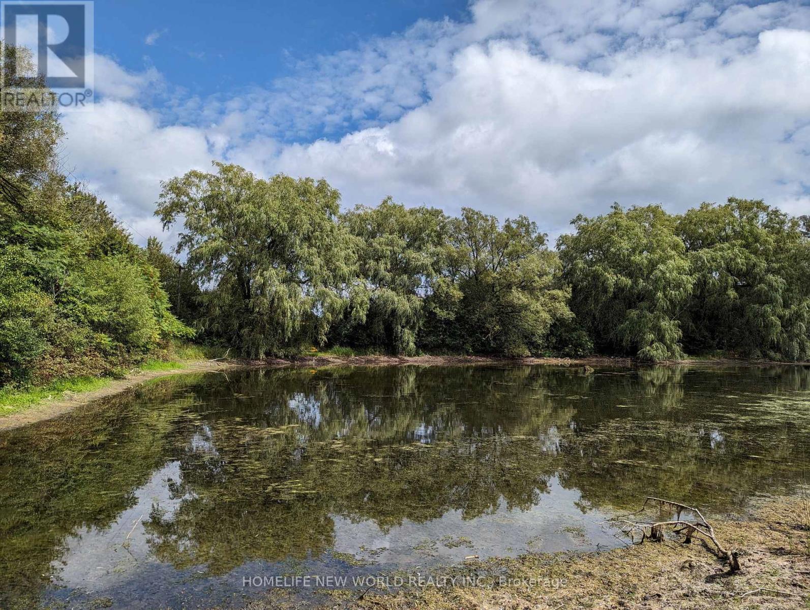 17268 Warden Avenue, Whitchurch-Stouffville, Ontario  L3Y 4W1 - Photo 12 - N12494516