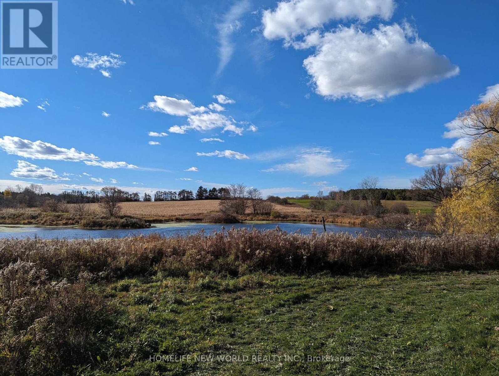 17268 Warden Avenue, Whitchurch-Stouffville, Ontario  L3Y 4W1 - Photo 2 - N12494516