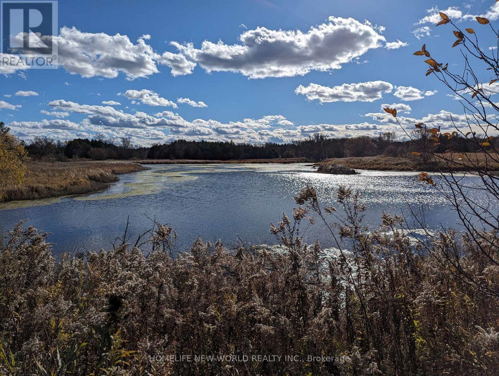 17268 Warden Avenue, Whitchurch-Stouffville, Ontario  L3Y 4W1 - Photo 3 - N12494516