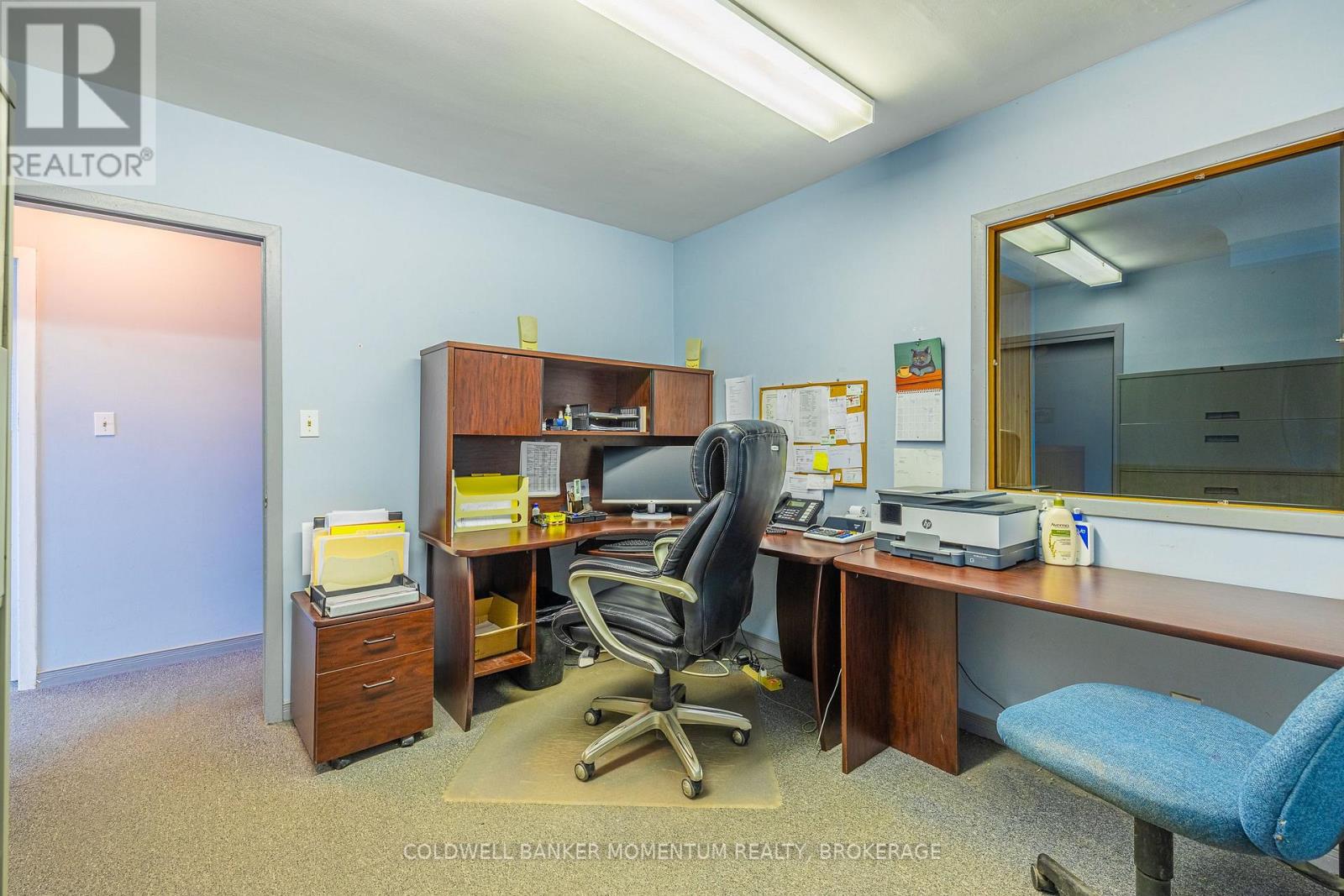 132 Bunting Road, St. Catharines, Ontario  L2P 3G5 - Photo 29 - X12510784