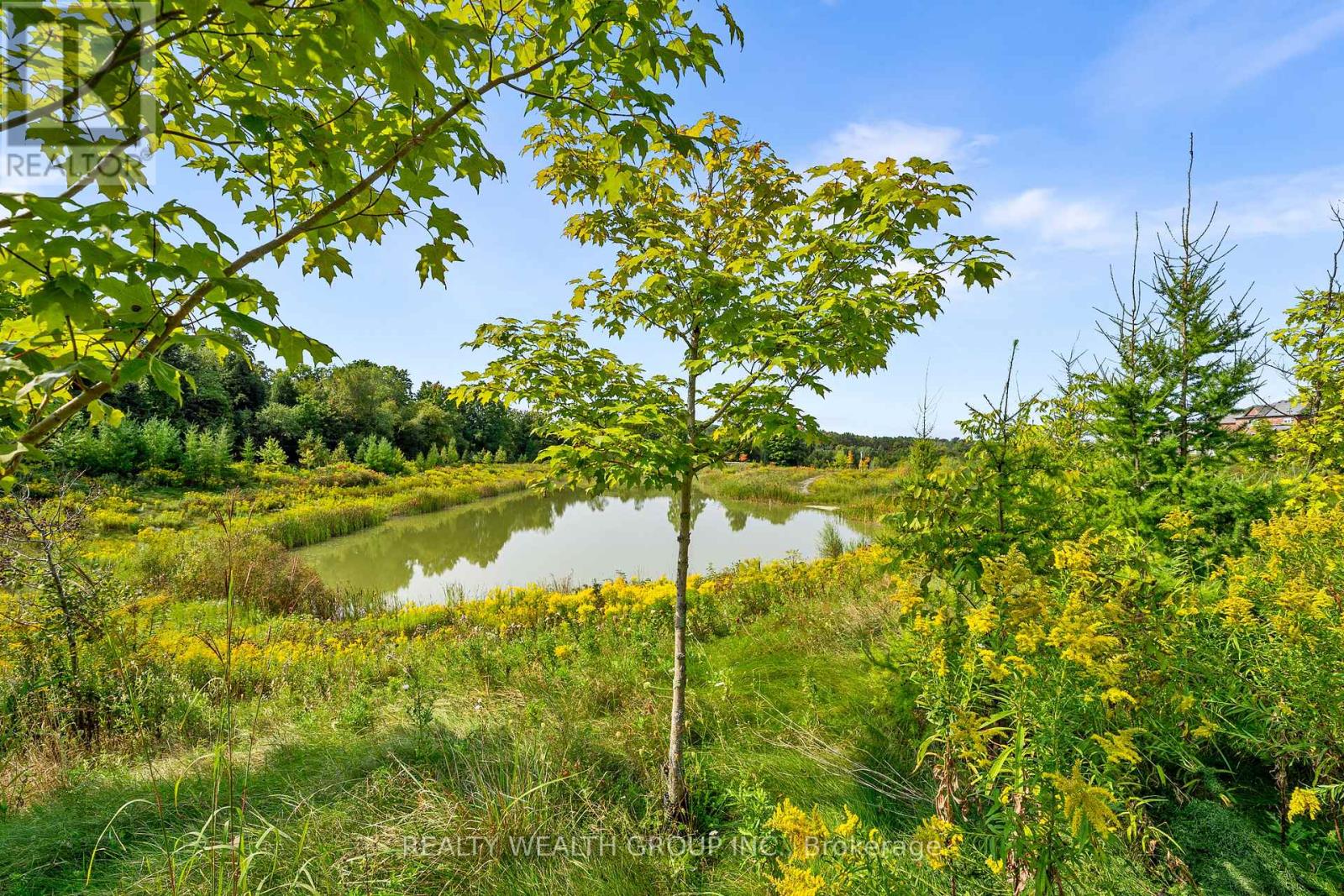 261 Seaview Heights S, East Gwillimbury, Ontario  L0G 1R0 - Photo 22 - N12510838