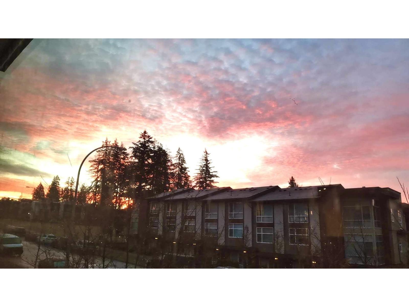 79 16222 23a Avenue, Surrey, British Columbia  V3Z 6P4 - Photo 20 - R2959801