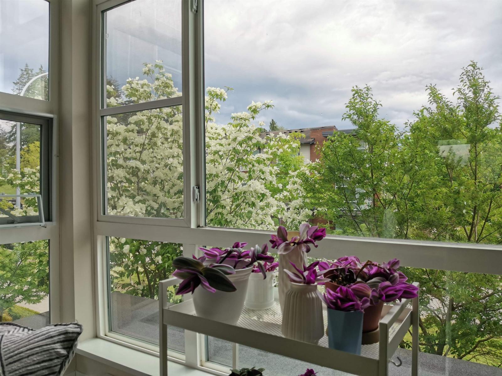 79 16222 23a Avenue, Surrey, British Columbia  V3Z 6P4 - Photo 34 - R2959801