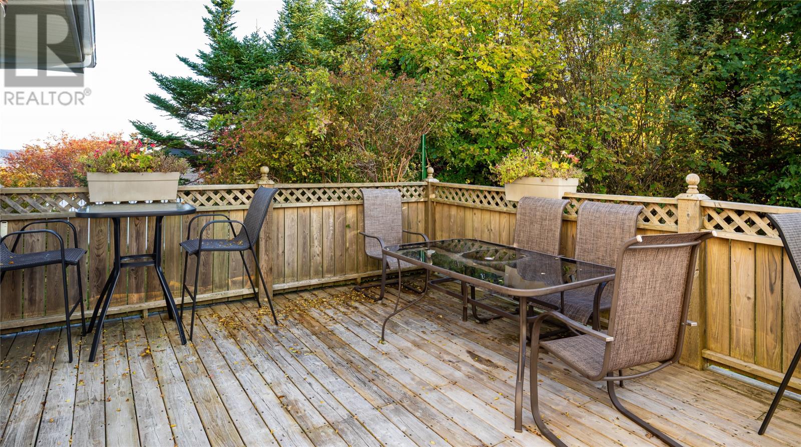 203 Thorburn Road, St.john's, Newfoundland & Labrador  A1B 4P8 - Photo 38 - 1291865