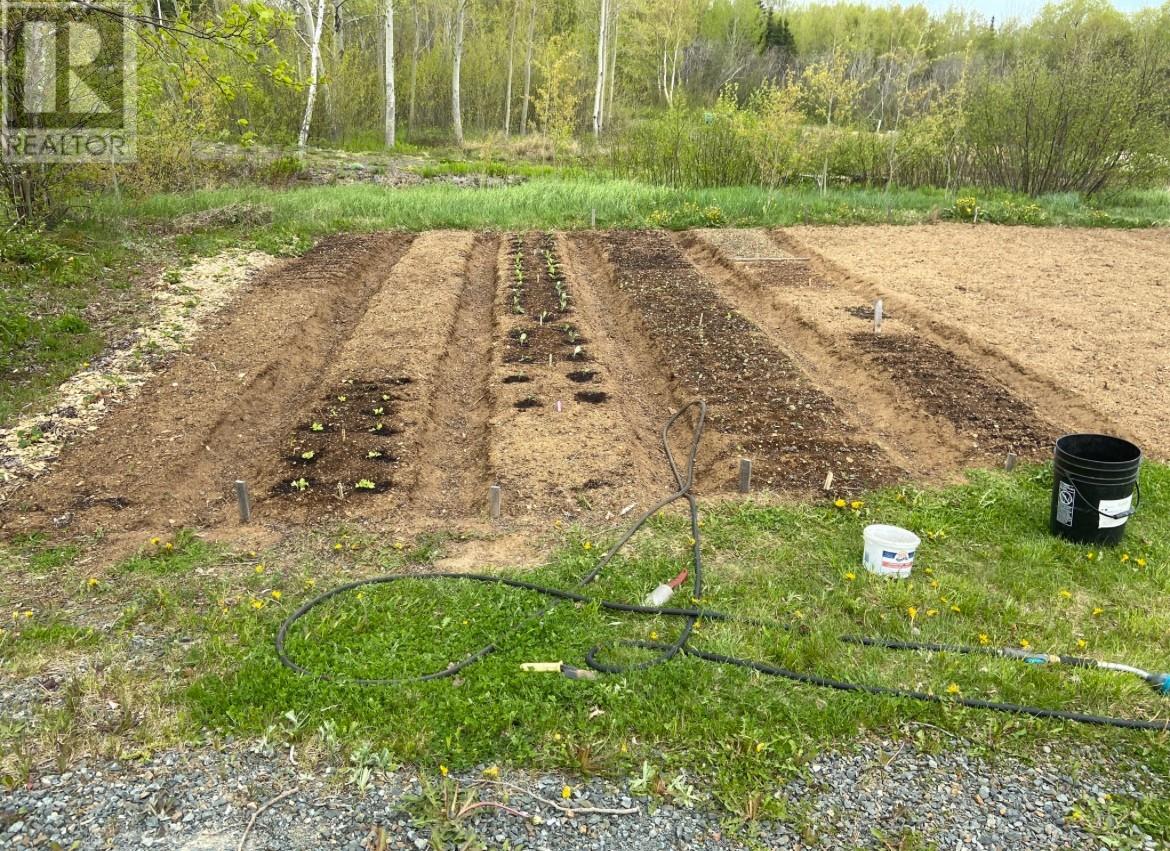 200 Comfort Cove Highway, Comfort Cove-Newstead, Newfoundland & Labrador  A0G 3K0 - Photo 28 - 1288644