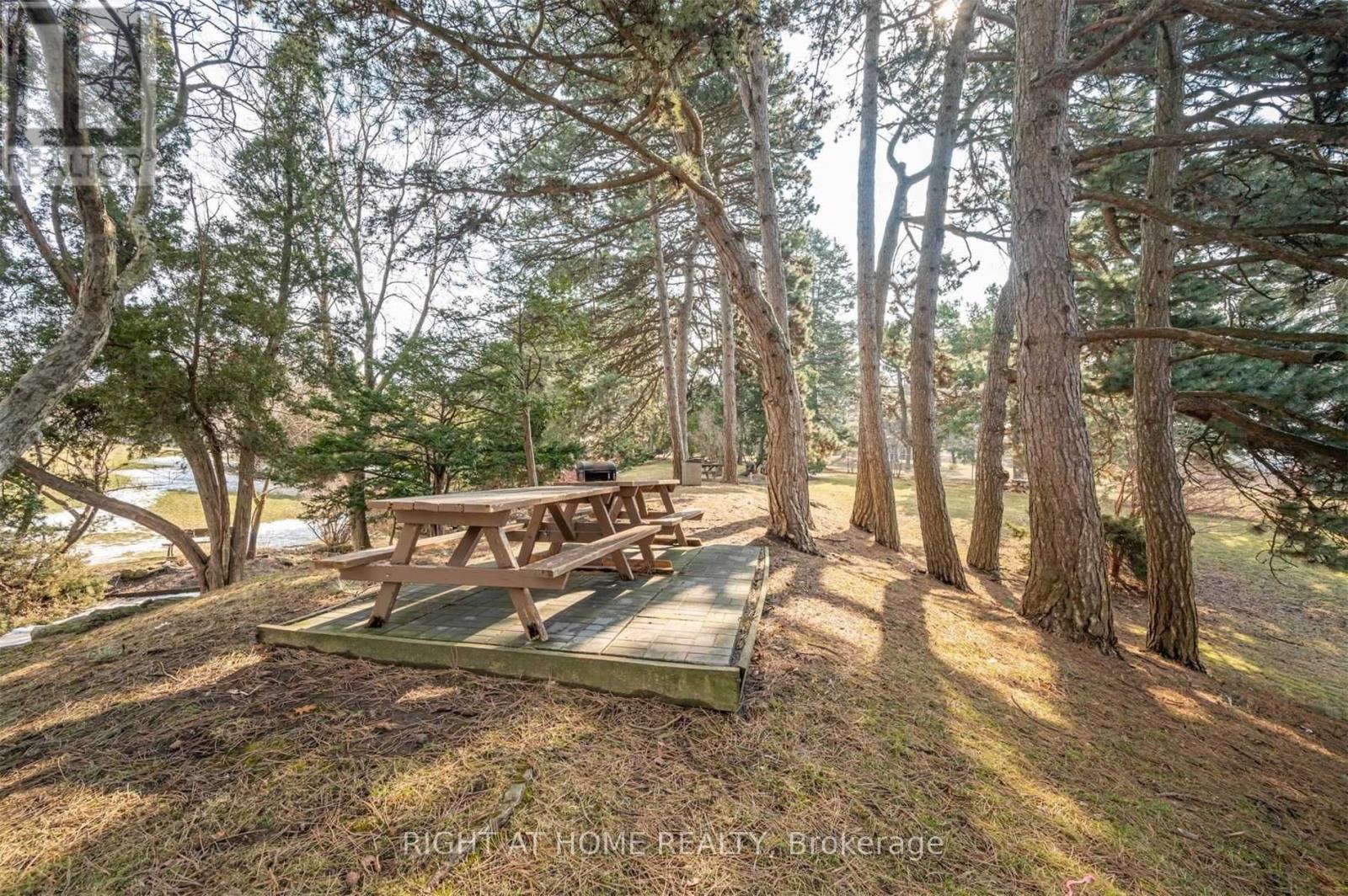 2005 - 75 Graydon Hall Drive, Toronto, Ontario  M3A 3M5 - Photo 19 - C12510902