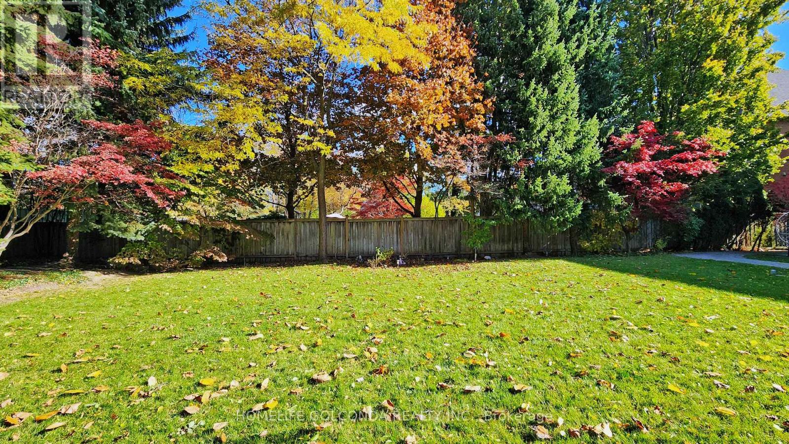 164 Owen Boulevard, Toronto, Ontario  M2P 1G7 - Photo 48 - C12510928