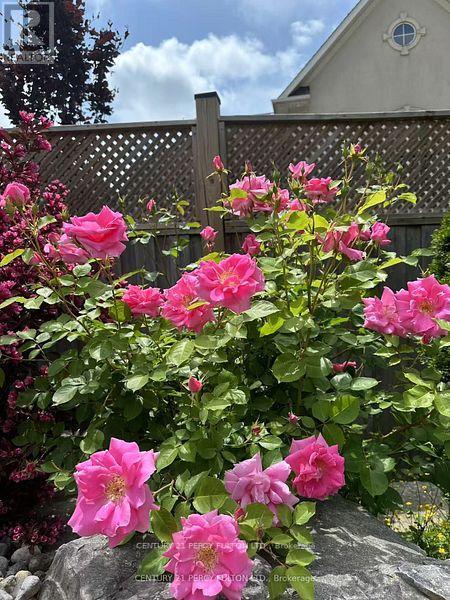 19 Sir Giancarlo Court, Vaughan, Ontario  L6A 0C6 - Photo 42 - N12510970