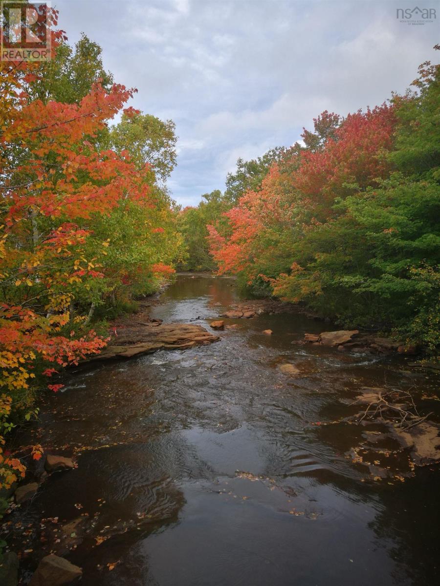 88 Catherine Street, Glace Bay, Nova Scotia  B1A 2K3 - Photo 17 - 202524422