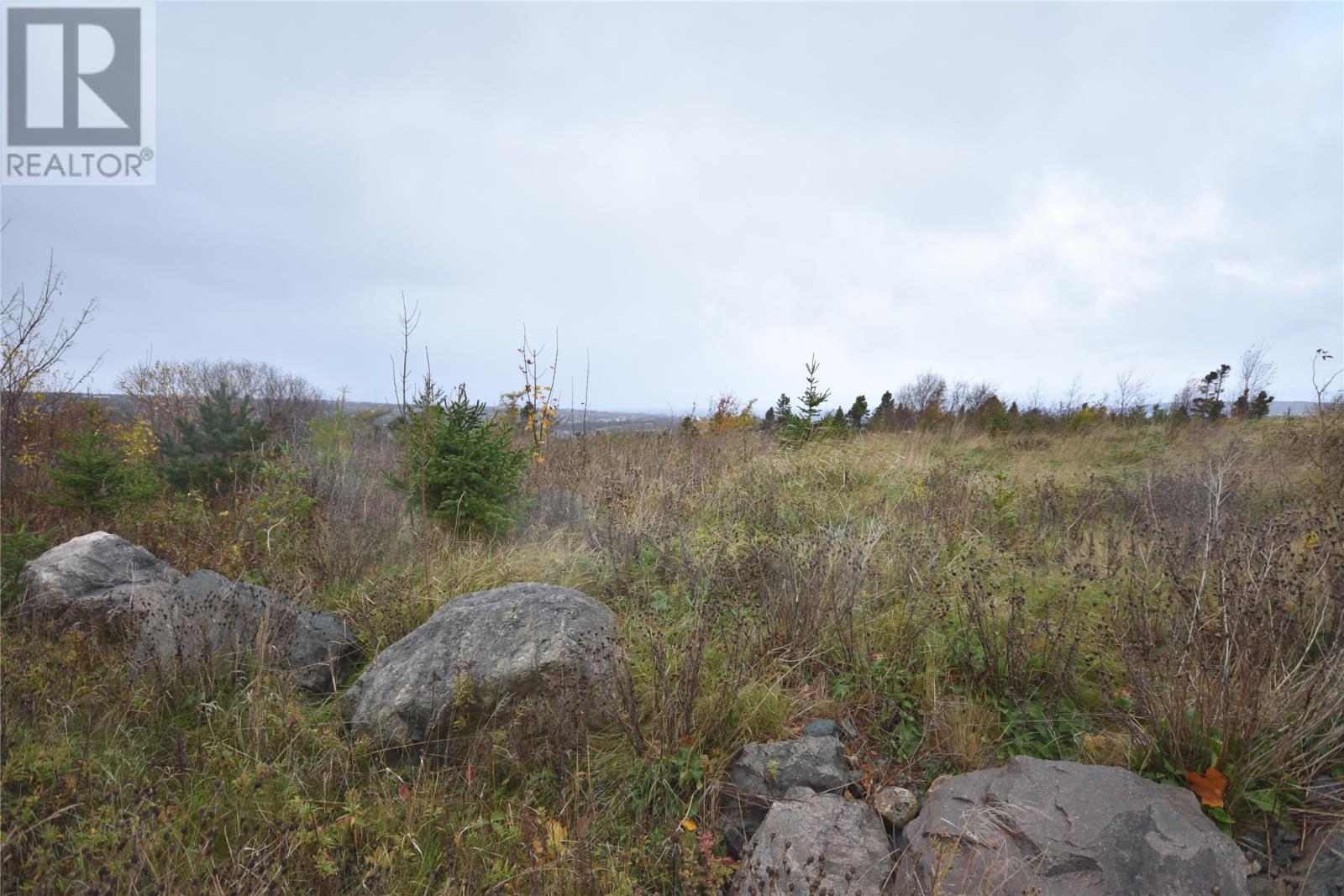 74 Readers Hill Road, Conception Bay South, Newfoundland & Labrador  A1W 5B9 - Photo 4 - 1292340