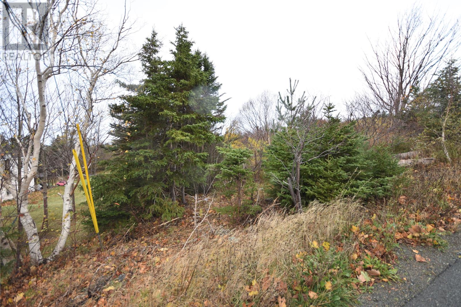 74 Readers Hill Road, Conception Bay South, Newfoundland & Labrador  A1W 5B9 - Photo 5 - 1292340