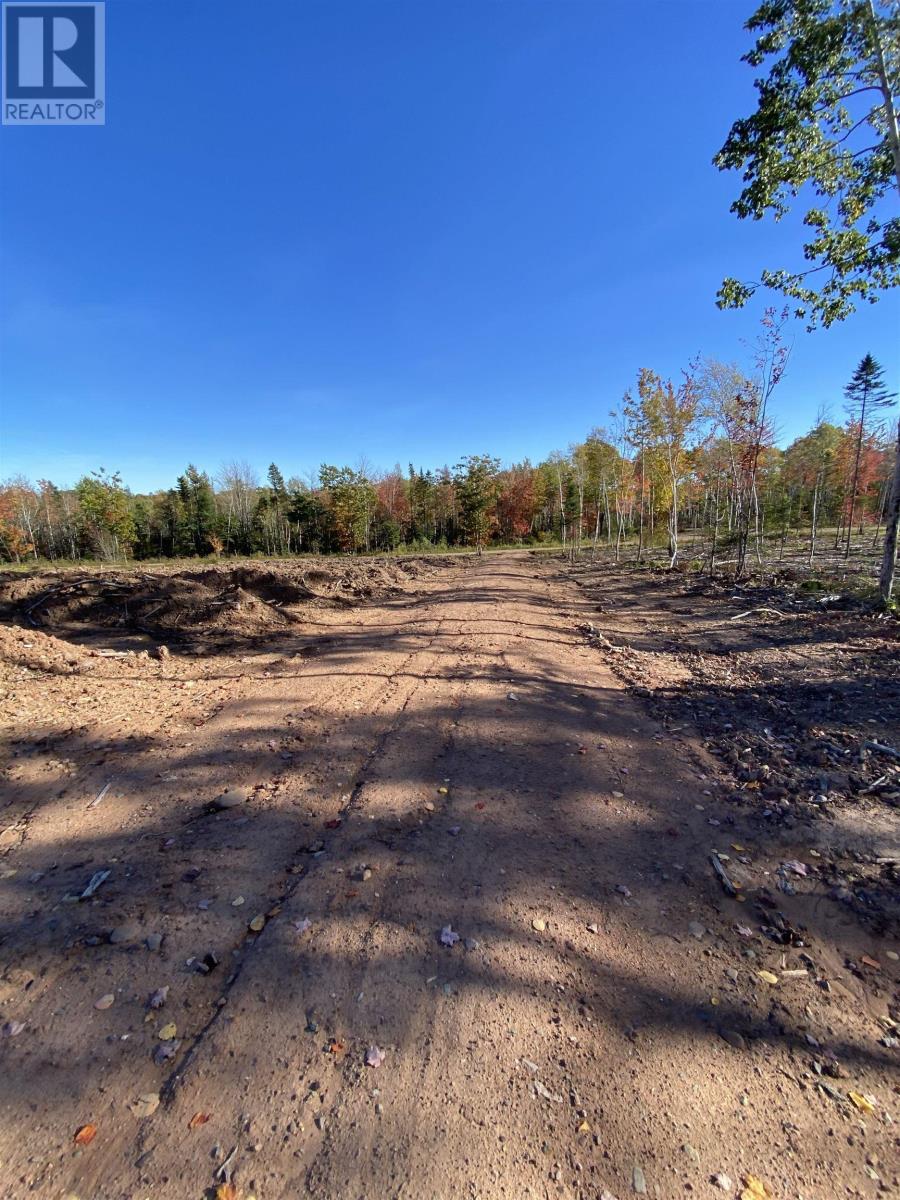 300 Lane Cross Road, Lanesville, Nova Scotia  B0N 2J0 - Photo 22 - 202525662