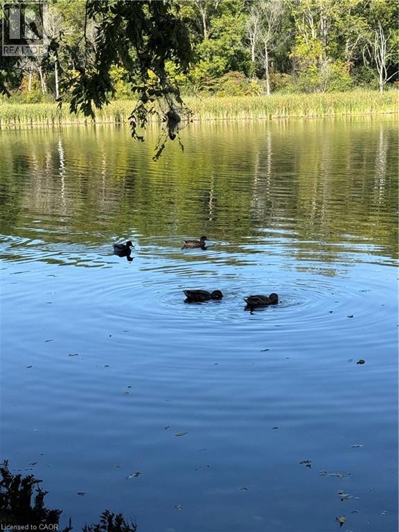 1085 Queens Boulevard Unit# 6, Kitchener, Ontario  N2M 1B9 - Photo 36 - 40785809