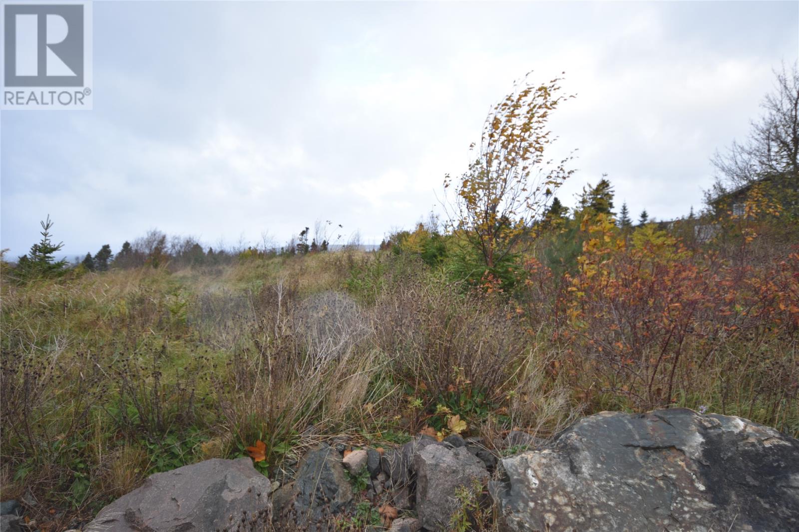 70 Readers Hill Road, Conception Bay South, Newfoundland & Labrador  A1W 5B9 - Photo 3 - 1292337