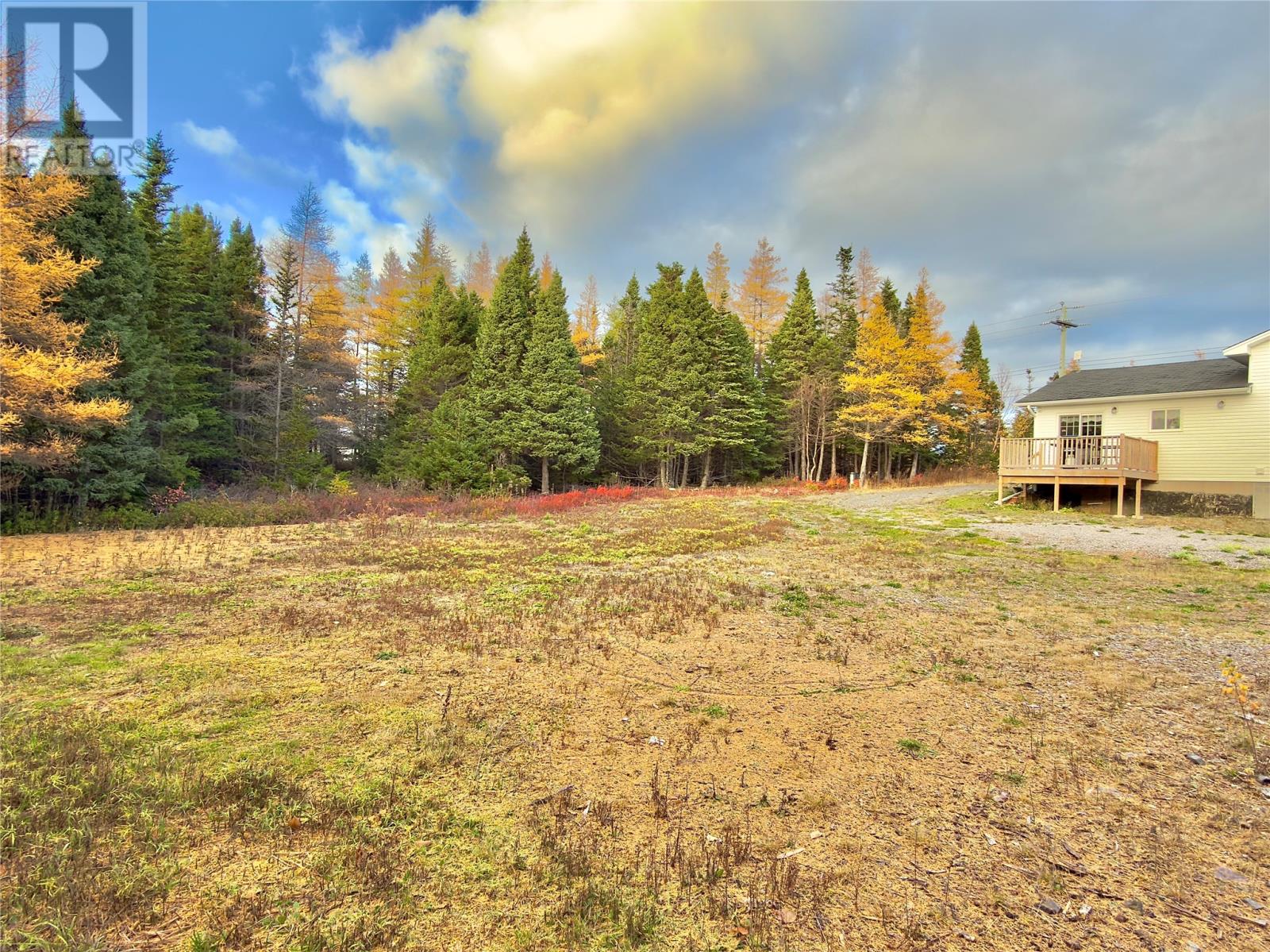 412 Random Island Road, Random Heights, Newfoundland & Labrador  A5A 3A1 - Photo 5 - 1292313