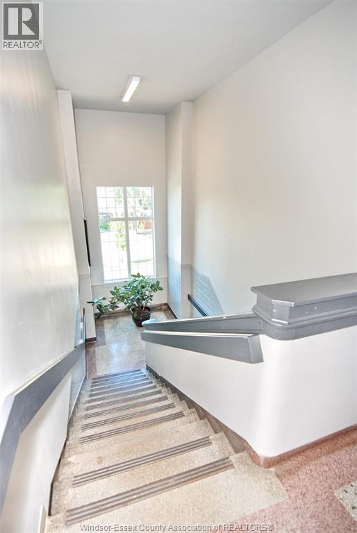 647 Irvine Unit# 301, Windsor, Ontario  N8X 2J4 - Photo 6 - 25028035