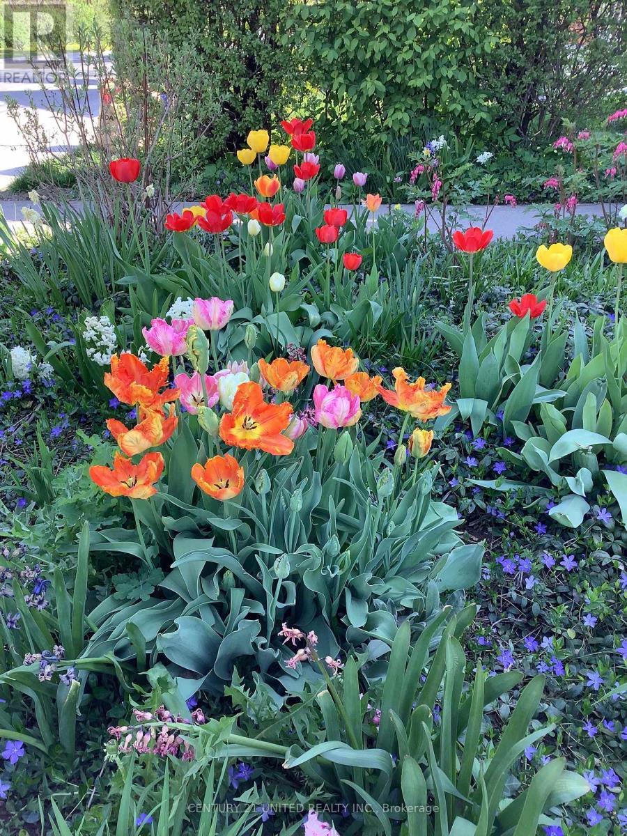 458 Driscoll Terrace, Peterborough, Ontario  K9H 1T7 - Photo 41 - X12487380