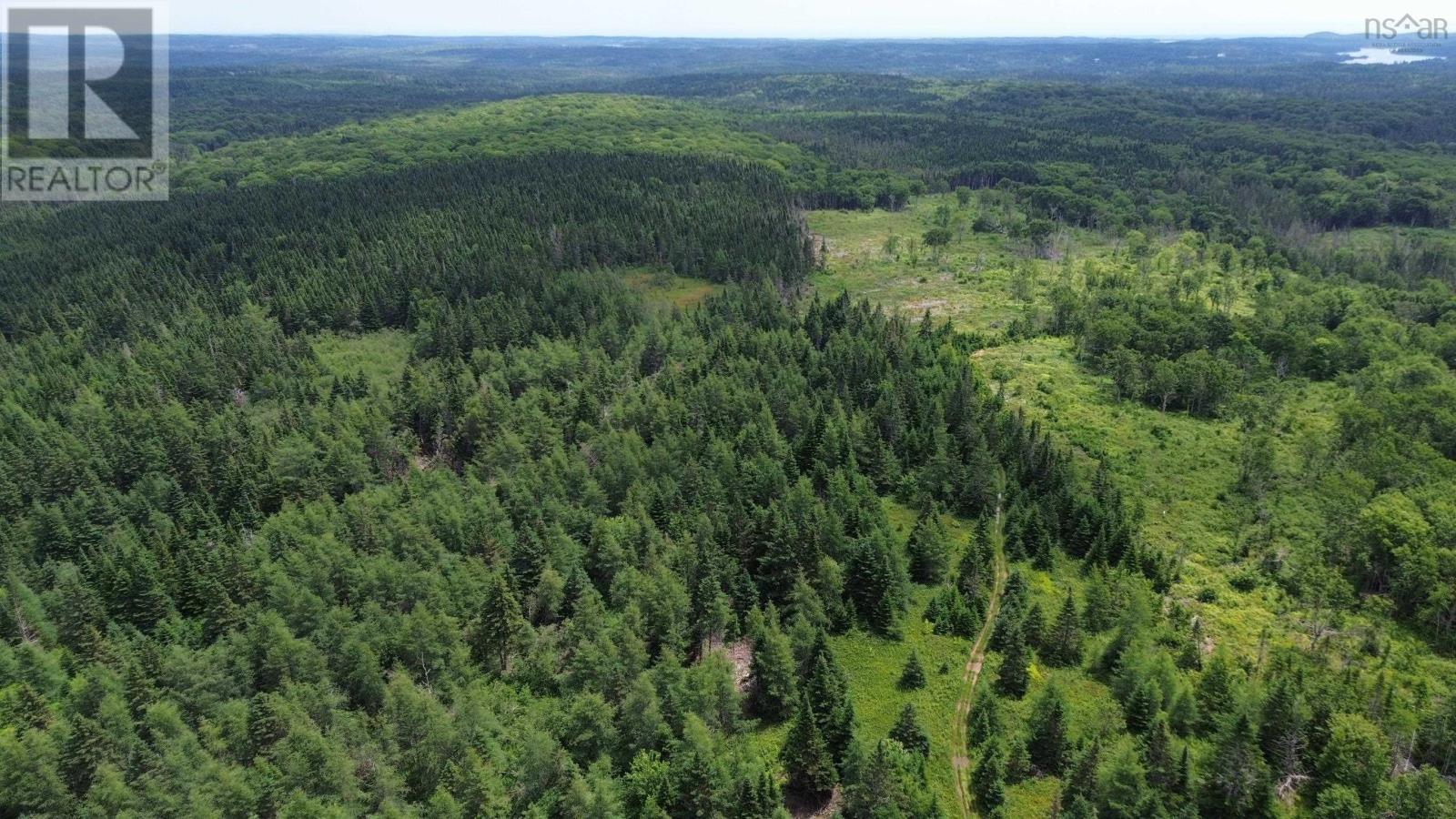 Lot Shaws Road, Lewis Cove Road, Nova Scotia  B0E 3B0 - Photo 4 - 202325236