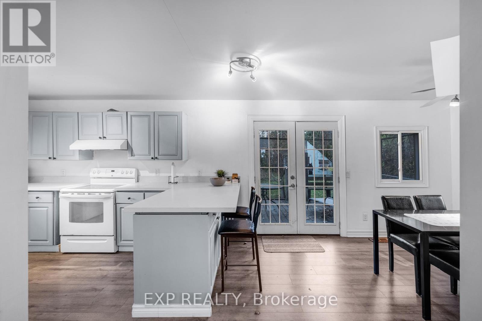 229 Elm Avenue, Georgina, Ontario  L4P 2V2 - Photo 12 - N12511224