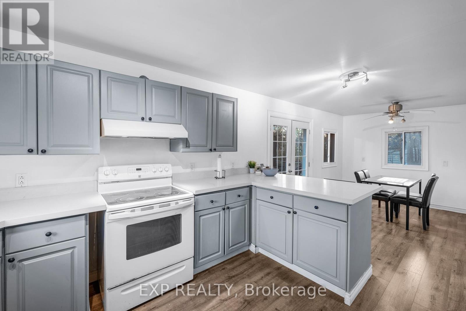 229 Elm Avenue, Georgina, Ontario  L4P 2V2 - Photo 15 - N12511224