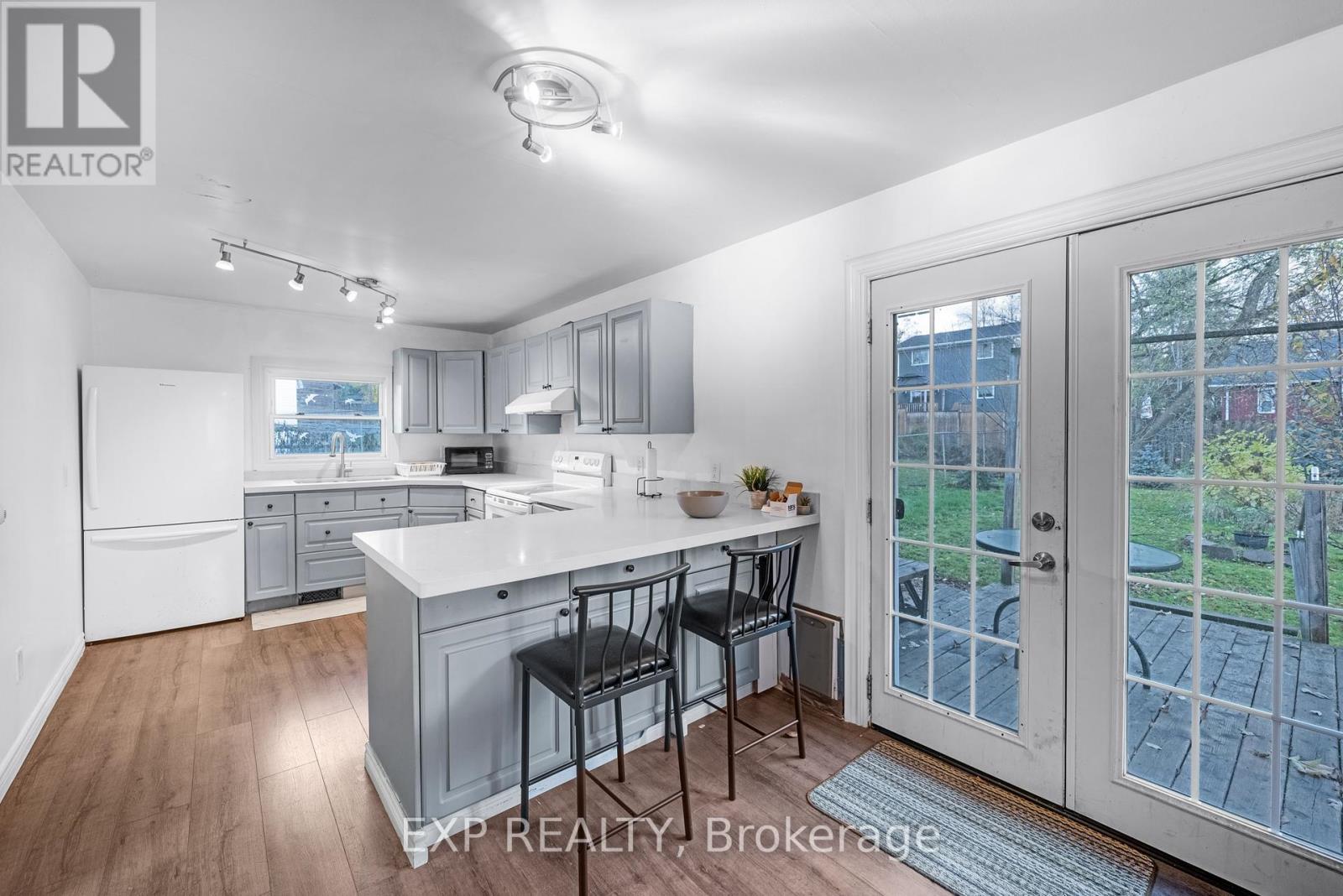 229 Elm Avenue, Georgina, Ontario  L4P 2V2 - Photo 16 - N12511224